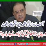 Asif Zardari got a great reward on not giving up with the opposition