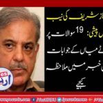 shehbaz sharief, appeared, before, NAB, 19, questions, and, shehbaz shareif, answer, know, now