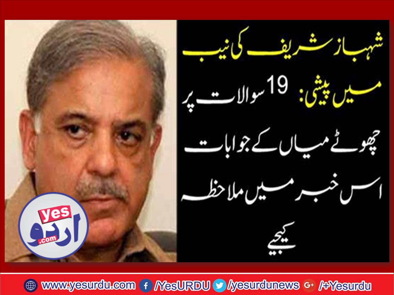 shehbaz sharief, appeared, before, NAB, 19, questions, and, shehbaz shareif, answer, know, now