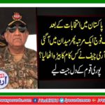 Flourishing and succulent Pakistan