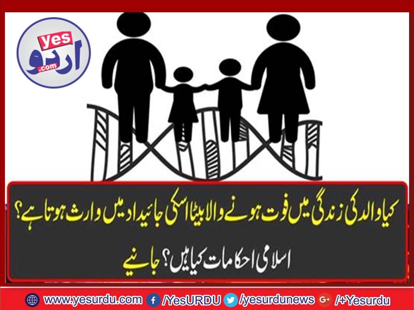 EITHER, A, DIED, SON, CAN, GET, HIS, SHARE, IN, PROPERTY, WHEN, FATHER, IS, ALIVE