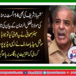 Shahbaz Sharif also supports Maulana Fazlur Rehman's statement for not celebrating 14th August