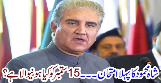 First Test of Shah Mehmood....