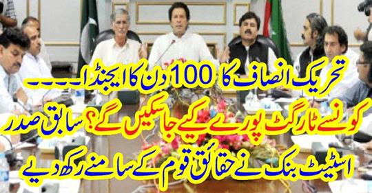 A 100-day agenda of Tehreek-e-Insaf ...