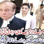 Only Nawaz Sharif was punished because in Panama Lexus ...