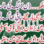 Big political party