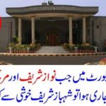 What did Shahbaz Sharif happily do?