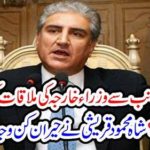 Shah Mehmood Qureshi told the surprising reason