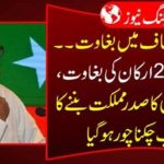 Breaking News: Rebellion in Tehreek-e-Insaf.