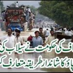 The Tehreek-e-Insaf (PTI) government introduced a great way to prevent flood disasters