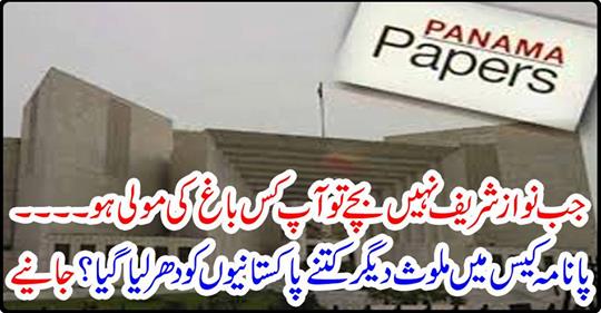 How many other Pakistanis were involved in the Panama case? Get it