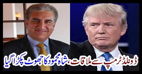 Shah Mahmood's lie was caught