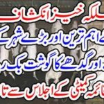 Successful development: Pigs and donkeys are hungry in Pakistan's most important and big city markets