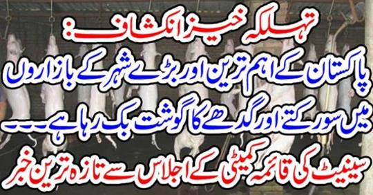 Successful development: Pigs and donkeys are hungry in Pakistan's most important and big city markets