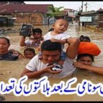 Tsunami kills increase in Indonesia