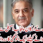 Shahbaz Sharif put a unique action against the members of Punjab Assembly to make Fazal Rehman vote