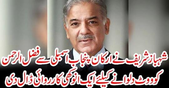Shahbaz Sharif put a unique action against the members of Punjab Assembly to make Fazal Rehman vote