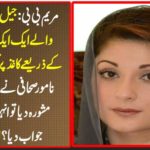 Mary B.: Save a moment passing through a pen on a paper passing through the prison .... What was the nominated journalist advised Mary Nawaz to answer? Unique news