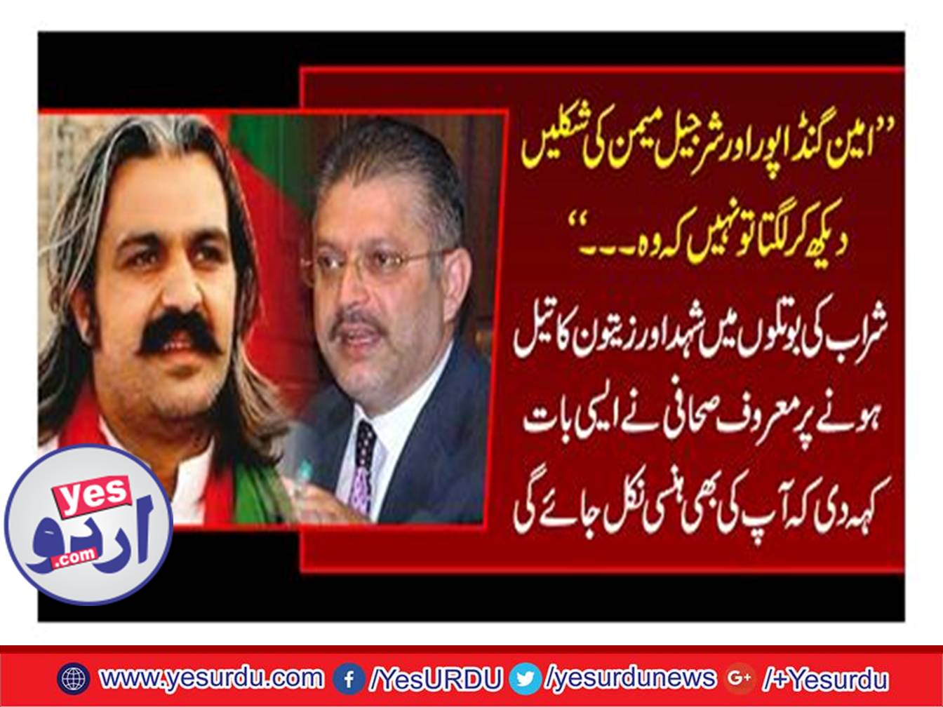 "When looking at the forms of Amin Punadpur and Sharjeel Memon, they do not think they ..." Honey and olive oil in wine bottles, the leading journalist told you that you would get rid of