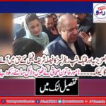 AL-AZIZIA, FLAGSHIP, REFERENCE, CASE, DECISION, WILL, BE, IN, FAVOR, OF, SHARIEF FAMILY, WHY, BECAUSE