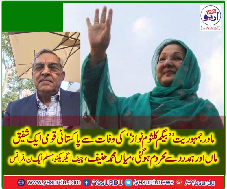 MIAN MUHAMMD HANIF, CHIEF EXECUTIVE, PMLN, FRANCE