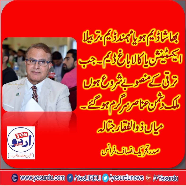 MIAN ZULIFQAR JATLA, PRESIDENT, PTI, FRANCE, ON, DAM, FUND, AND, POLITICS, AGAINST, IT