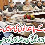 The waves of politicians of South Punjab, more than 5 Ministers of the Punjab cabinet were summarized?