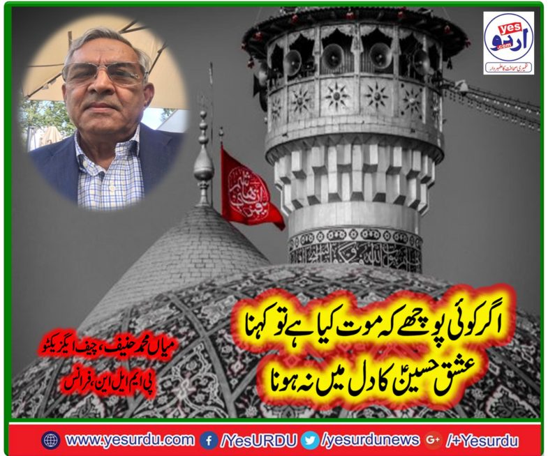 MIAN MUHAMMAD HANIF, CHIEF EXECUTIVE, PMLN, FRANCE