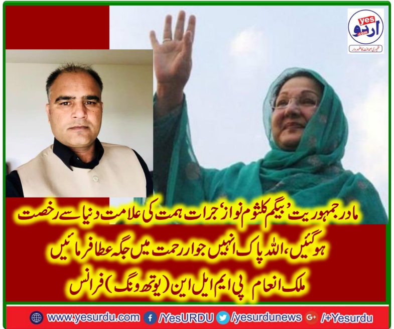 MALIK INAM, PMLN, (YOUTH WING)FRANCE