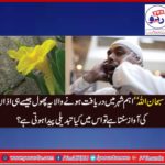 A, FLOWER, THAT, BLOSSOMS, BY, THE, SOUND, OF, AZAN, SUBHAN ALLAH