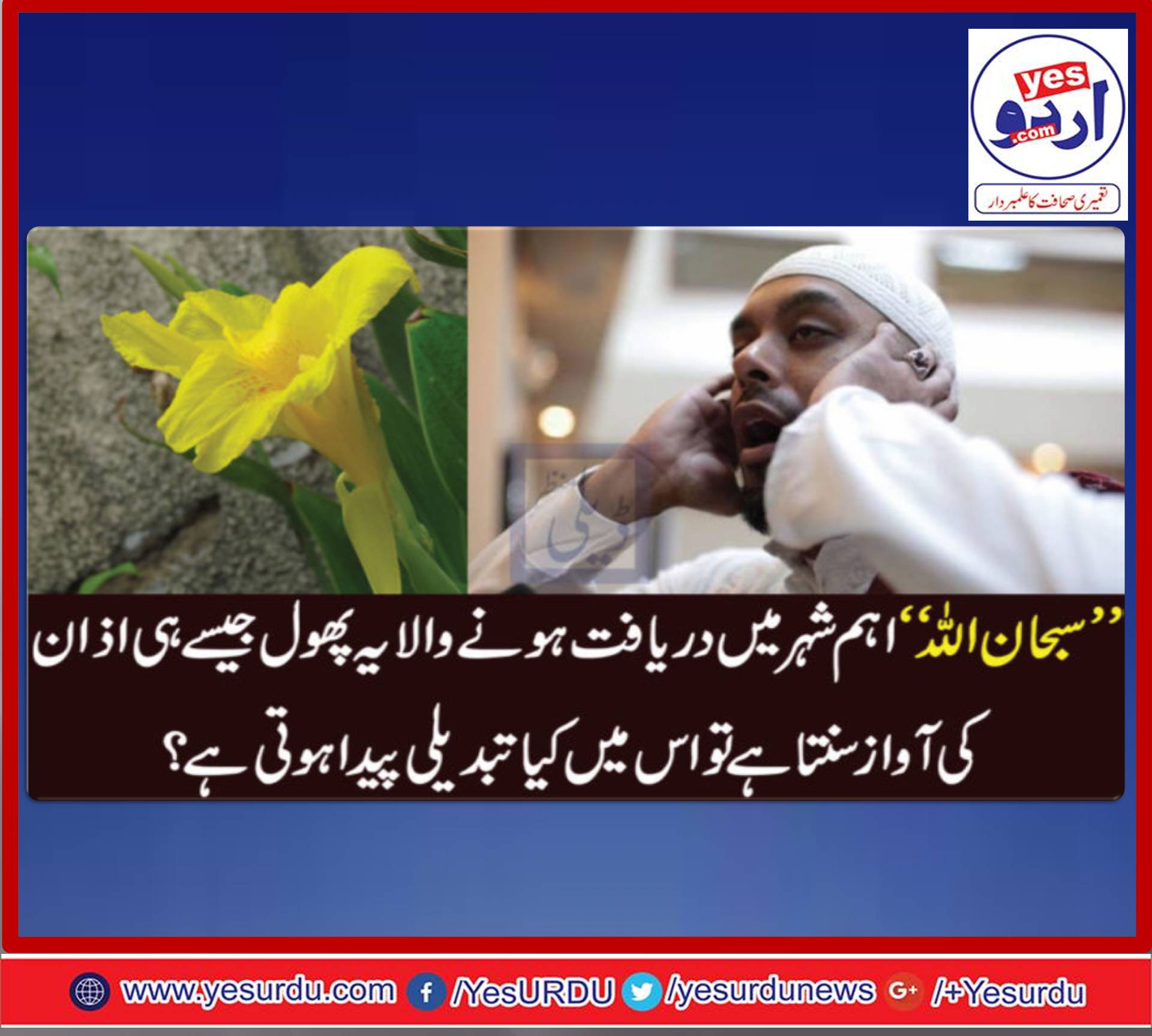 A, FLOWER, THAT, BLOSSOMS, BY, THE, SOUND, OF, AZAN, SUBHAN ALLAH