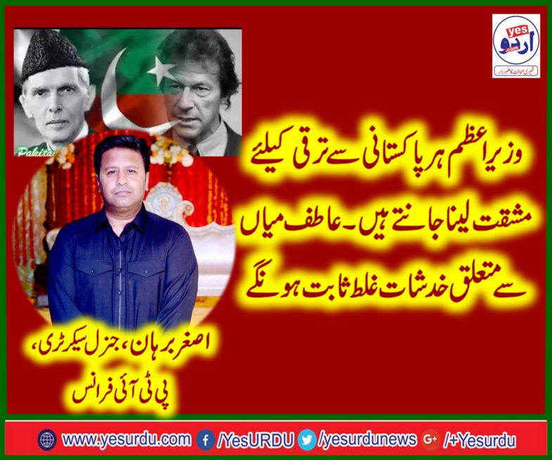 Imran Khan, knows, better, how, to, use, all, minorities, for, betterment, of, country, Asghar Burhan, General, Secretary, PTi, France