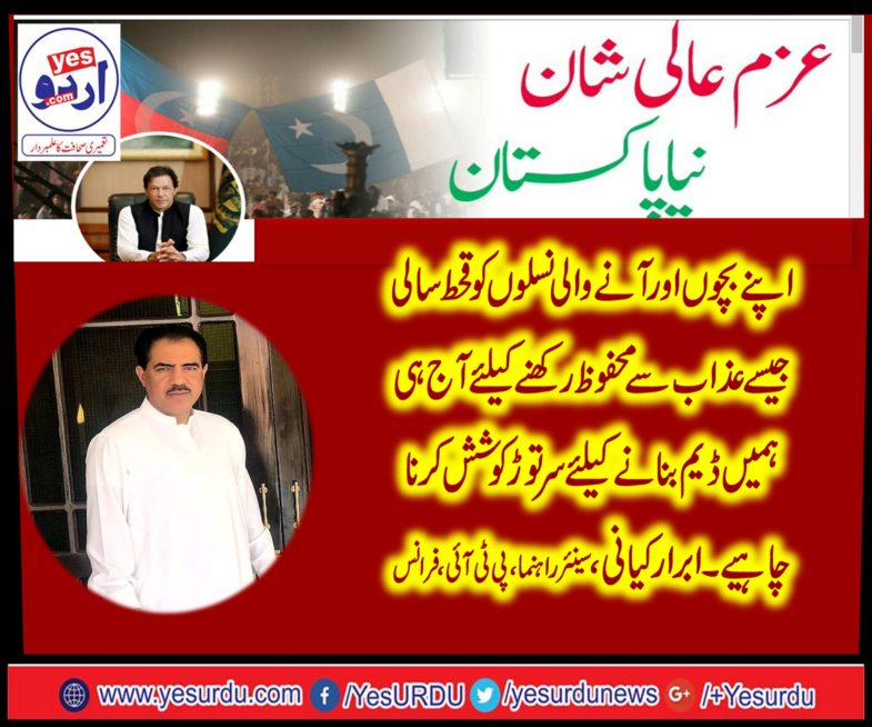 ibrar kayani, senior, leader, PTI, France, on, Dam, fund