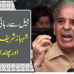 Another furry was prepared for Shahbaz Sharif