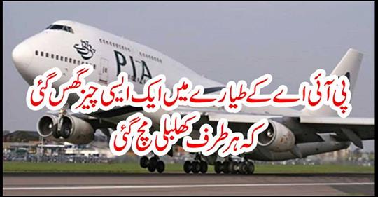 A PIA plane crashed in a way that was hit everywhere