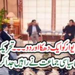 The big political party allies of Tehreek-e-Insaf should separate the path ...?