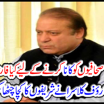 Rauf Klasra opened the mud of the shrine