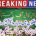 The Election Commission canceled the results and ordered the order