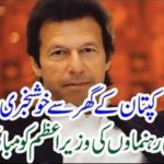 Good news from the captain's house ..