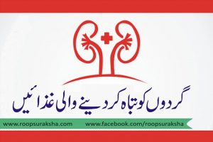 Kidneys feeding