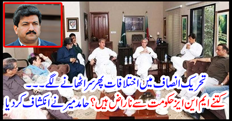 Hamid Mir revealed