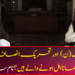Which leaders of the Muslim League (N) and the Tehreek-e-Insaf's leaders are going to be disqualified?