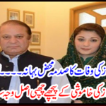 The real cause behind Nawaz Sharif and Mary Nawaz's silence came out