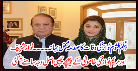 The real cause behind Nawaz Sharif and Mary Nawaz's silence came out