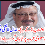 The United Nations announces the fall of Saudi Arabia