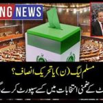 Muslim League (N) or Tehreek-e-Insaf?