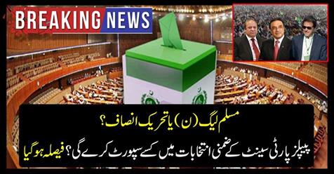 Muslim League (N) or Tehreek-e-Insaf?