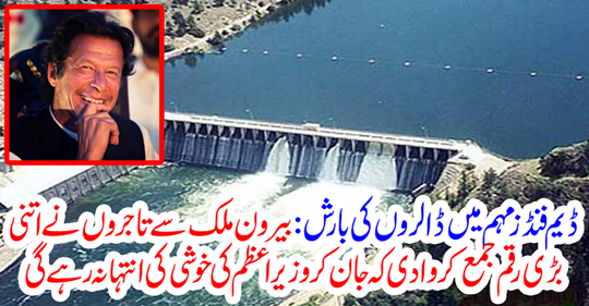 Dams Rain in Dem Funds Campaign