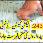 NA 243: The Election Commission issued the final list of candidates for the election
