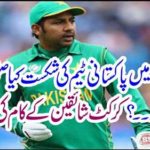 Job report of cricket fans